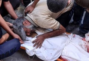 Gaza Releases Detailed Report on Palestinian Martyrs Killed in Israeli War