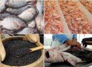 Iran’s Export of Fishery Products Hits $187 Million in 5-Month Period