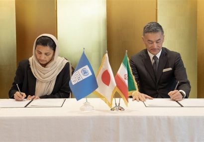 Japan allocates grant aid for developing Iran wetlands