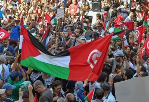 Tunisians stage rally in support of Gazans