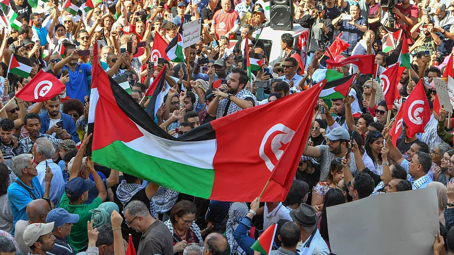 Tunisians stage rally in support of Gazans